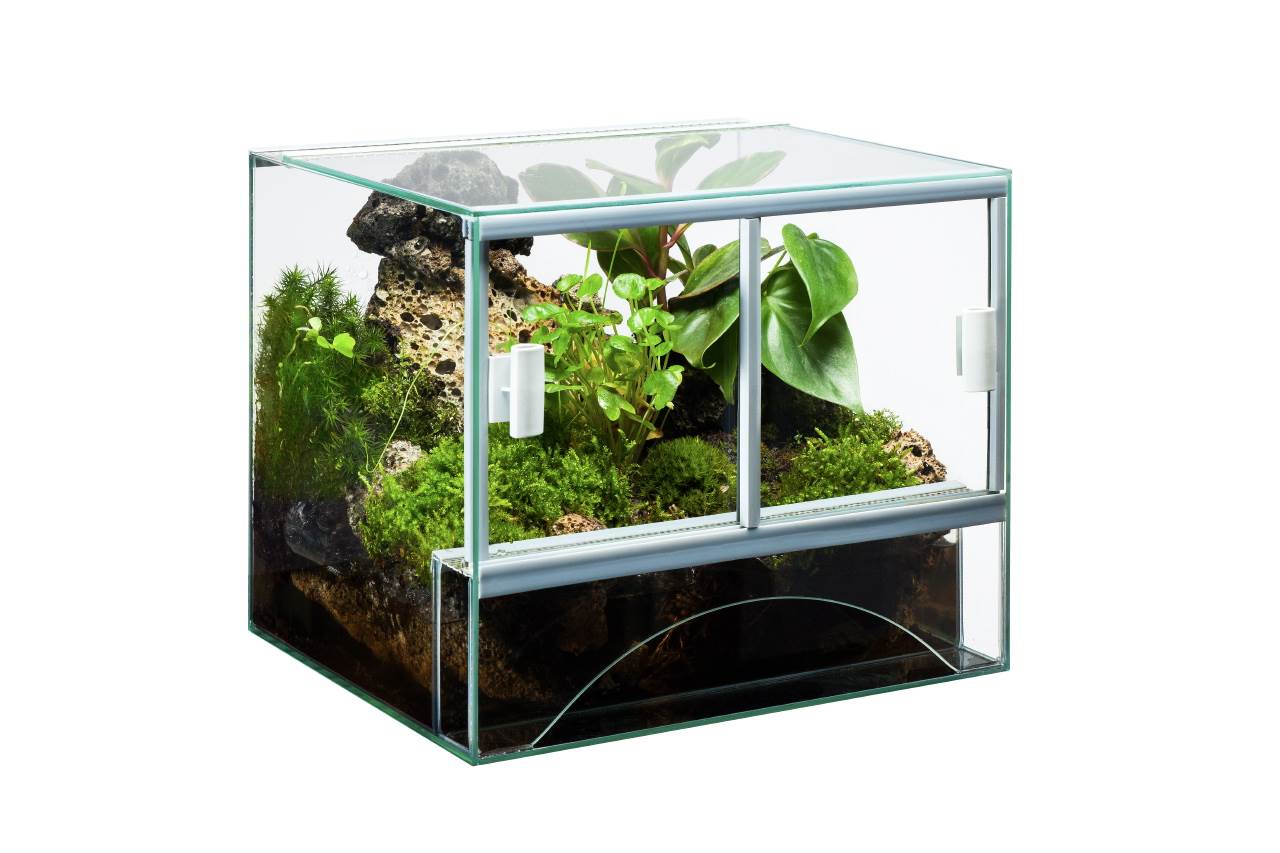 eetbaar ketting Onderzoek TERRARIUMS - Diversa